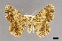  ( - USNM ENT 01921150)  @11 [ ] (by-nc-sa)  Unspecified Unspecified