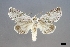  ( - USNM ENT 01921210)  @11 [ ] (by-nc-sa)  Unspecified Unspecified