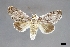  ( - USNM ENT 01921211)  @11 [ ] (by-nc-sa)  Unspecified Unspecified