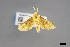  ( - USNM ENT 01921239)  @11 [ ] (by-nc-sa)  Unspecified Unspecified