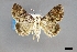  ( - USNM ENT 01921260)  @11 [ ] (by-nc-sa)  Unspecified Unspecified