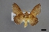  ( - USNM ENT 01921499)  @11 [ ] Unspecified (default): All Rights Reserved  Unspecified Unspecified