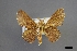  ( - USNM ENT 01921500)  @11 [ ] Unspecified (default): All Rights Reserved  Unspecified Unspecified
