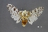  ( - USNM ENT 01921510)  @11 [ ] Unspecified (default): All Rights Reserved  Unspecified Unspecified