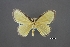  ( - USNM ENT 01921532)  @11 [ ] Unspecified (default): All Rights Reserved  Unspecified Unspecified
