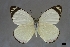  ( - USNM ENT 01921553)  @11 [ ] Unspecified (default): All Rights Reserved  Unspecified Unspecified
