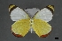 ( - USNM ENT 01921553)  @11 [ ] Unspecified (default): All Rights Reserved  Unspecified Unspecified