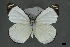 ( - USNM ENT 01921554)  @11 [ ] Unspecified (default): All Rights Reserved  Unspecified Unspecified