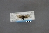  ( - USNM ENT 01921638)  @11 [ ] (by-sa)  Unspecified Unspecified