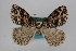  ( - USNM ENT 01921646)  @11 [ ] Unspecified (default): All Rights Reserved  Unspecified Unspecified
