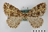  ( - USNM ENT 01921647)  @11 [ ] Unspecified (default): All Rights Reserved  Unspecified Unspecified
