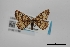  ( - USNM ENT 01921738)  @11 [ ] Unspecified (default): All Rights Reserved  Unspecified Unspecified