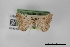  ( - USNM ENT 01921853)  @11 [ ] Unspecified (default): All Rights Reserved  Unspecified Unspecified