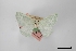  ( - USNM ENT 01921887)  @11 [ ] Unspecified (default): All Rights Reserved  Unspecified Unspecified