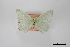  ( - USNM ENT 01921896)  @11 [ ] Unspecified (default): All Rights Reserved  Unspecified Unspecified