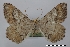  ( - USNM ENT 01921934)  @11 [ ] Unspecified (default): All Rights Reserved  Unspecified Unspecified