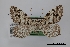  ( - USNM ENT 01921958)  @11 [ ] Unspecified (default): All Rights Reserved  Unspecified Unspecified