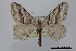  ( - USNM ENT 01921979)  @11 [ ] Unspecified (default): All Rights Reserved  Unspecified Unspecified