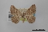  ( - USNM ENT 01921988)  @11 [ ] Unspecified (default): All Rights Reserved  Unspecified Unspecified