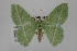  ( - USNM ENT 02001015)  @11 [ ] Unspecified (default): All Rights Reserved  Unspecified Unspecified