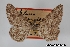  ( - USNM ENT 02001047)  @11 [ ] Unspecified (default): All Rights Reserved  Unspecified Unspecified