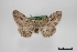  ( - USNM ENT 02001078)  @11 [ ] Unspecified (default): All Rights Reserved  Unspecified Unspecified