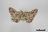  ( - USNM ENT 02001079)  @11 [ ] Unspecified (default): All Rights Reserved  Unspecified Unspecified