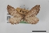  ( - USNM ENT 02001111)  @11 [ ] Unspecified (default): All Rights Reserved  Unspecified Unspecified