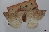  ( - USNM ENT 02001166)  @11 [ ] Unspecified (default): All Rights Reserved  Unspecified Unspecified