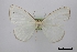  ( - USNM ENT 02001217)  @11 [ ] Unspecified (default): All Rights Reserved  Unspecified Unspecified