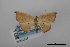  ( - USNM ENT 02001247)  @11 [ ] Unspecified (default): All Rights Reserved  Unspecified Unspecified