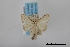  ( - USNM ENT 02001291)  @11 [ ] Unspecified (default): All Rights Reserved  Unspecified Unspecified