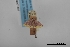  ( - USNM ENT 02001301)  @11 [ ] Unspecified (default): All Rights Reserved  Unspecified Unspecified