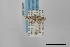  ( - USNM ENT 02001309)  @11 [ ] Unspecified (default): All Rights Reserved  Unspecified Unspecified