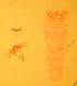  ( - CCDB-45174-D05)  @11 [ ] CreativeCommons - Attribution Share-Alike (2023) Unspecified Smithsonian Institution, National Museum of Natural History