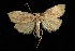 ( - 05-NCCC-191)  @13 [ ] CreativeCommons - Attribution (2010) Unspecified Centre for Biodiversity Genomics