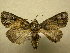  ( - 09-MISC-025)  @13 [ ] Unspecified (default): All Rights Reserved  Unspecified Unspecified