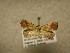  ( - 09-MISC-030)  @14 [ ] Unspecified (default): All Rights Reserved  Unspecified Unspecified