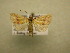  ( - 09-MISC-031)  @14 [ ] Unspecified (default): All Rights Reserved  Unspecified Unspecified