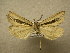  ( - 09-MISC-050)  @12 [ ] Unspecified (default): All Rights Reserved  Unspecified Unspecified