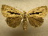  ( - 09-MISC-066)  @14 [ ] Unspecified (default): All Rights Reserved  Unspecified Unspecified