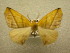  ( - 09-MISC-082)  @12 [ ] Unspecified (default): All Rights Reserved  Unspecified Unspecified