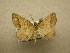  ( - 10-NCCC-123)  @13 [ ] No Rights Reserved (2010) Unspecified Research Collection of J. B. Sullivan