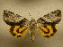  ( - 10-NCCC-148)  @13 [ ] No Rights Reserved (2010) Unspecified Research Collection of J. B. Sullivan