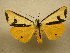  ( - 10-NCCC-155)  @12 [ ] No Rights Reserved (2010) Unspecified Research Collection of J. B. Sullivan