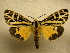  ( - 10-NCCC-157)  @14 [ ] No Rights Reserved (2010) Unspecified Research Collection of J. B. Sullivan