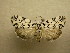  ( - 10-NCCC-191)  @14 [ ] No Rights Reserved (2010) Unspecified Research Collection of J. B. Sullivan