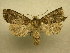  ( - 10-NCCC-233)  @14 [ ] No Rights Reserved (2010) Unspecified Research Collection of J. B. Sullivan