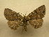  ( - 10-NCCC-248)  @12 [ ] No Rights Reserved (2010) Unspecified Research Collection of J. B. Sullivan