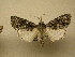  ( - 10-NCCC-250)  @13 [ ] No Rights Reserved (2010) Unspecified Research Collection of J. B. Sullivan